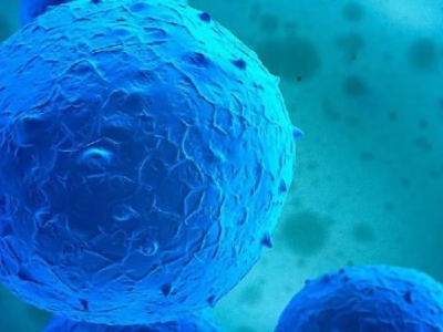 達博細(xì)胞治療新藥——自體自然殺傷細(xì)胞注射液（E10H） 獲得國家藥監(jiān)局頒發(fā)的臨床試驗批件