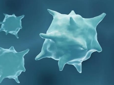 喜報 | 達(dá)博生物全資子公司泰禾生物“注射用重組改構(gòu)人腫瘤壞死因子”獲臨床試驗?zāi)驹S可