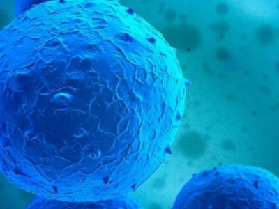 再傳喜訊！達(dá)博生物“人臍帶間充質(zhì)干細(xì)胞注射液”獲臨床試驗(yàn)?zāi)驹S可