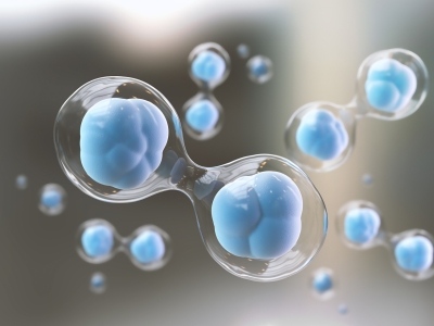 外泌體與干細胞：看似同源，實則大不同的 “修復能手”