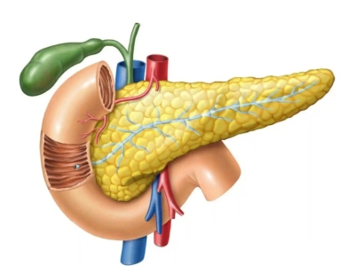 干細胞為什么可以治療2型糖尿?。? />
                          <a href=