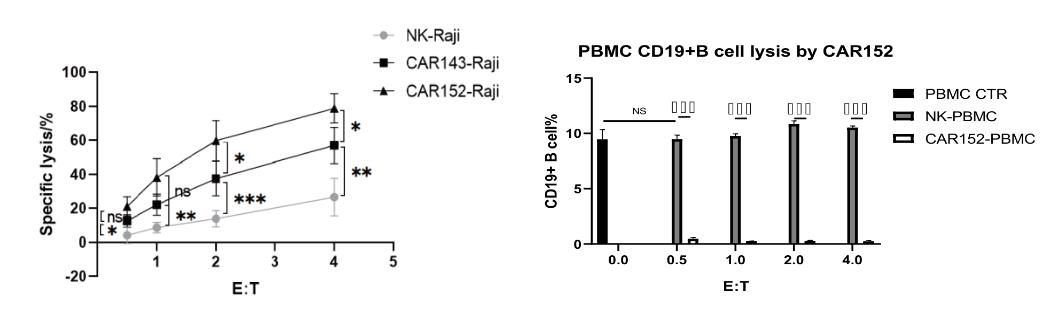 CAR-NK的腫瘤細(xì)胞殺傷能力