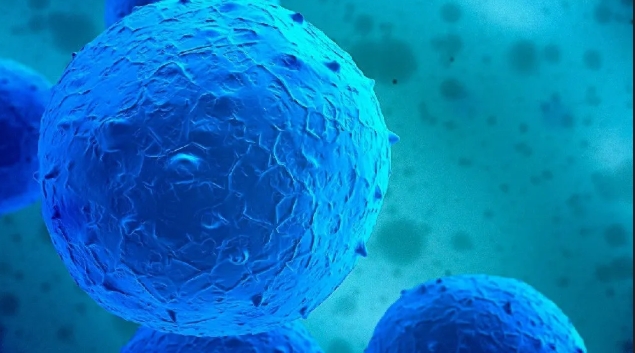 達(dá)博生物人臍帶間充質(zhì)干細(xì)胞Ⅰ期臨床研究啟動(dòng)會(huì)順利召開(kāi)！